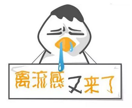 禽流感夏季需注意 禽流感夏季(jì)需注(zhù)意