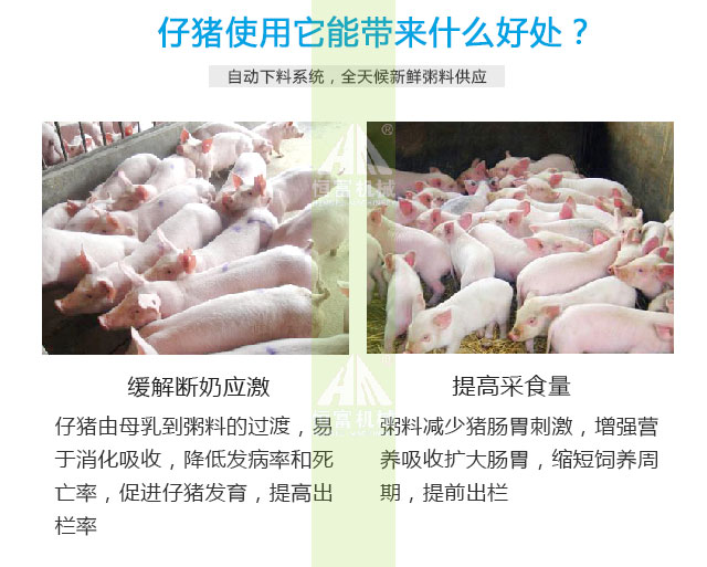 智能喂料(liào)機 智能喂料機